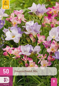 x 50 freesia pastel mix 5/+