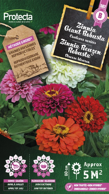 zinnia reuzen robusta