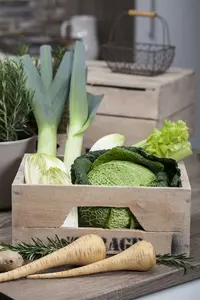 zomerprei zomer dikke lange - afbeelding 5